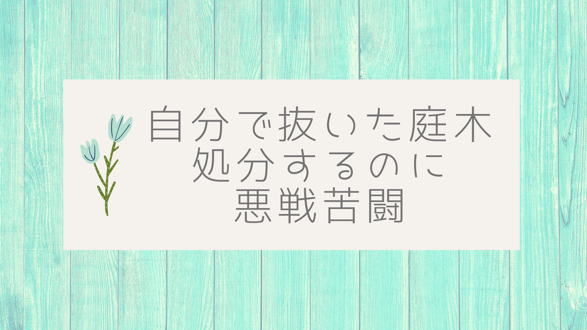 自分で庭木を抜く 裁断 可燃ゴミで処分 立派なdiy みみじん家